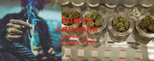 спиды Пестово