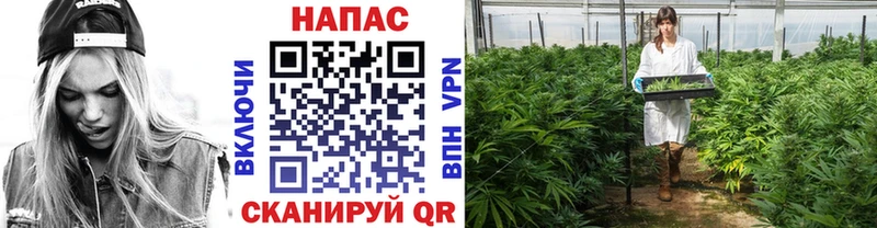 Шишки марихуана SATIVA & INDICA  Ветлуга 